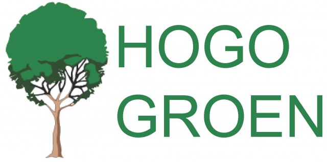 2015-02-05 Zilveren Uil logo Hogo groen