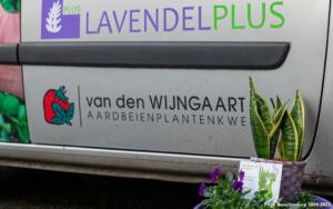 van den Wijngaart